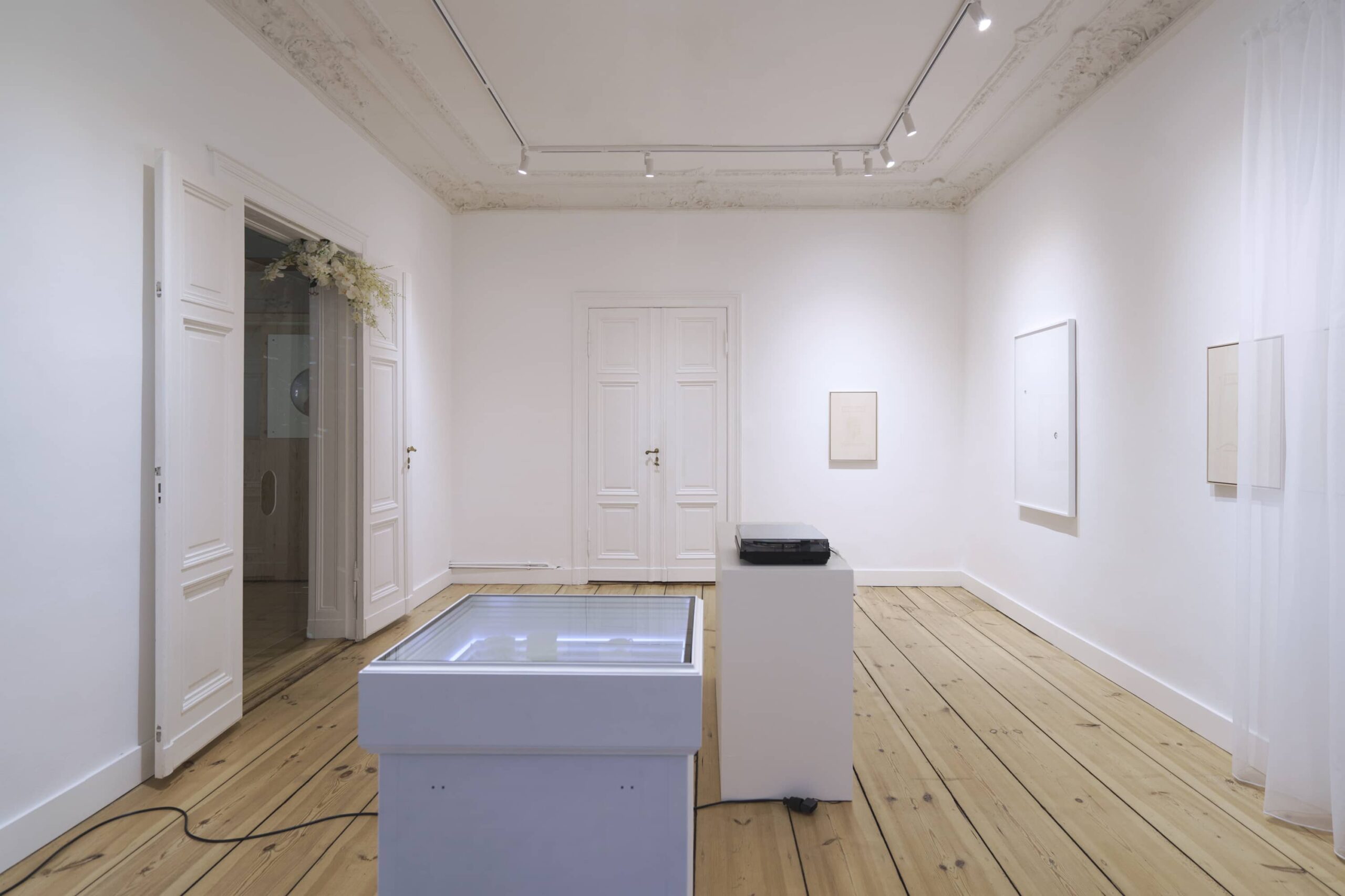 2024_Waltz of the Flowers_Buzzer Reeves_Berlin_15