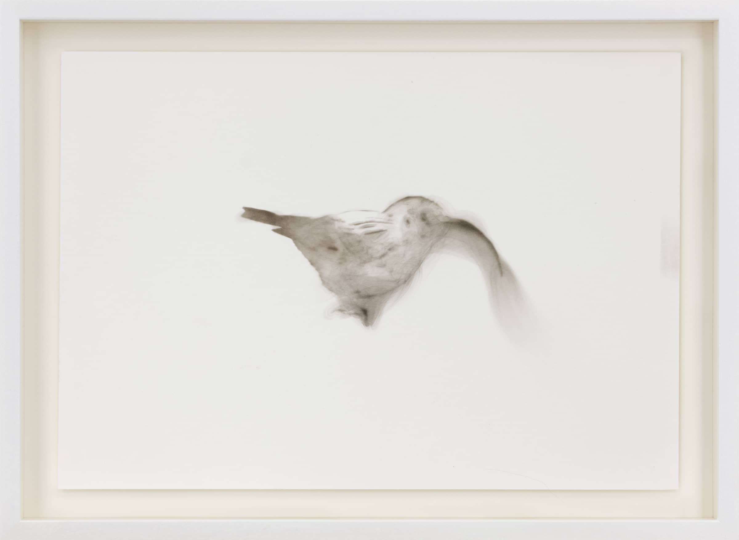 13_Roman Moriceau_Untitled (bird 2)_smoke on paper_27x37.5cm_Shivadas de Schrijver_1