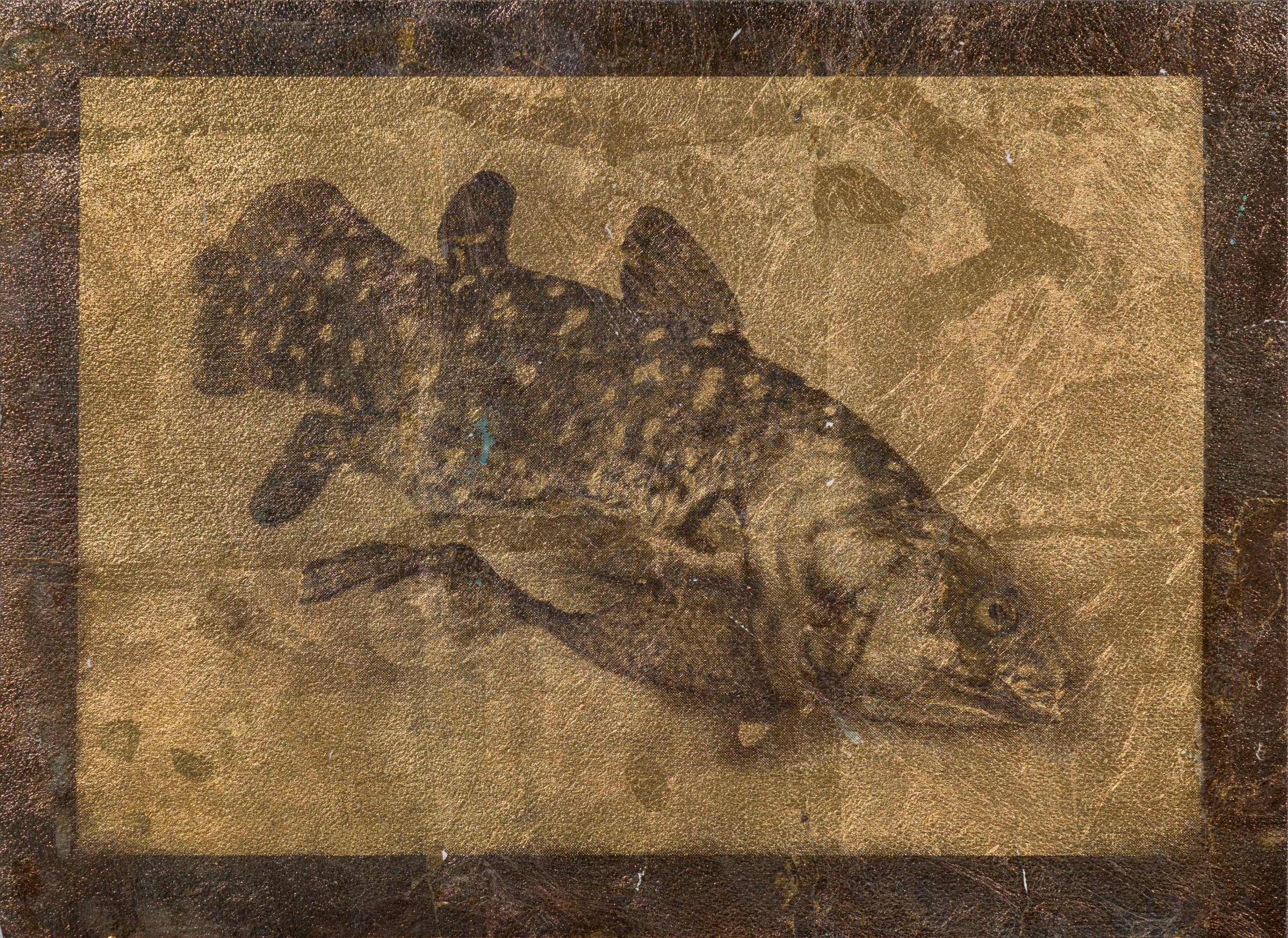 24_Roman Moriceau_Coelacanthe_2022_gilded copper, recycled silver salts, varnish on paper_30x40cm_Shivadas de Schrijver_1