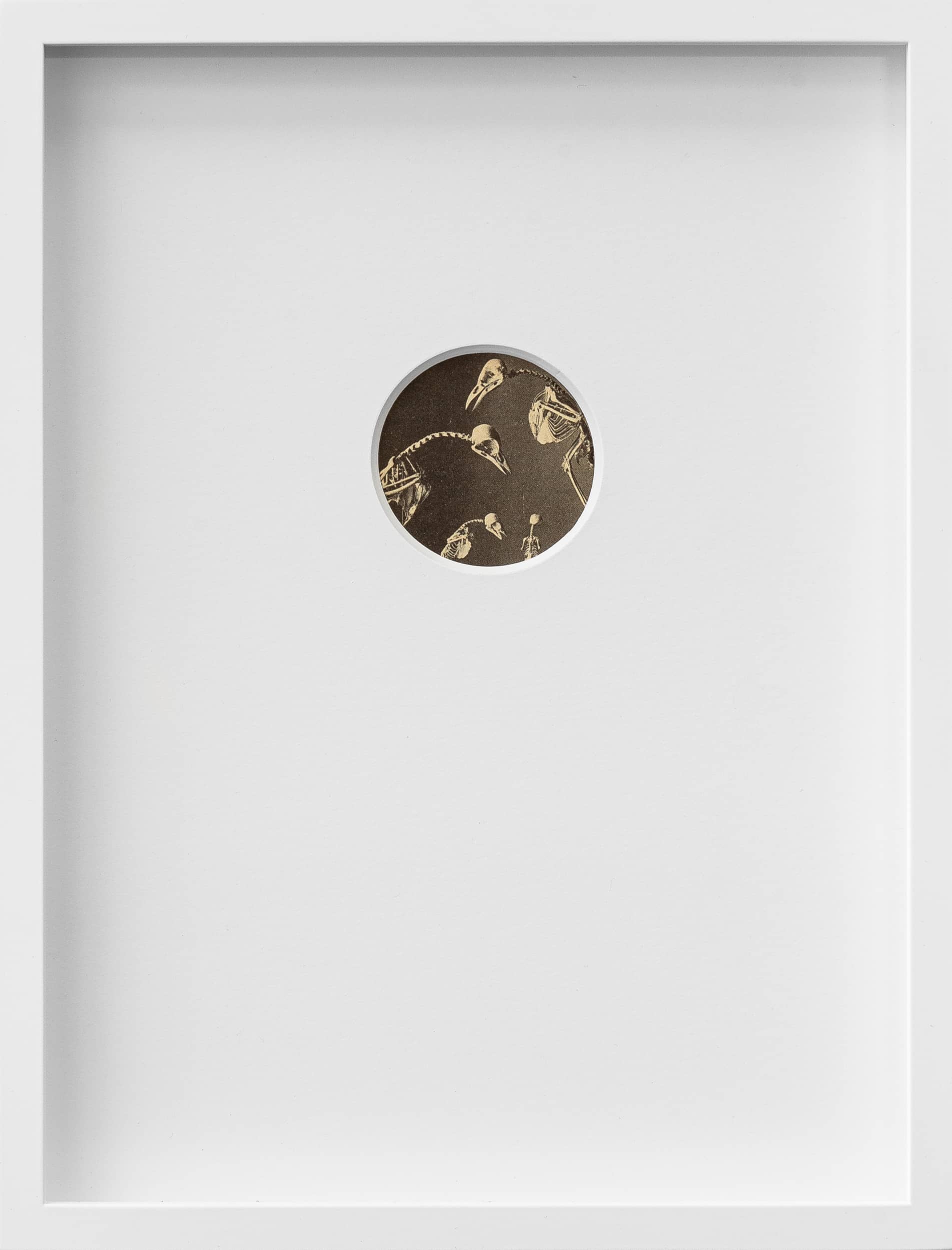 31_Takahiro Kudo_Blinkers_Untitled_Before You Go Go_2021_mount on book page_27.5x21cm_Gregory Copitet_1