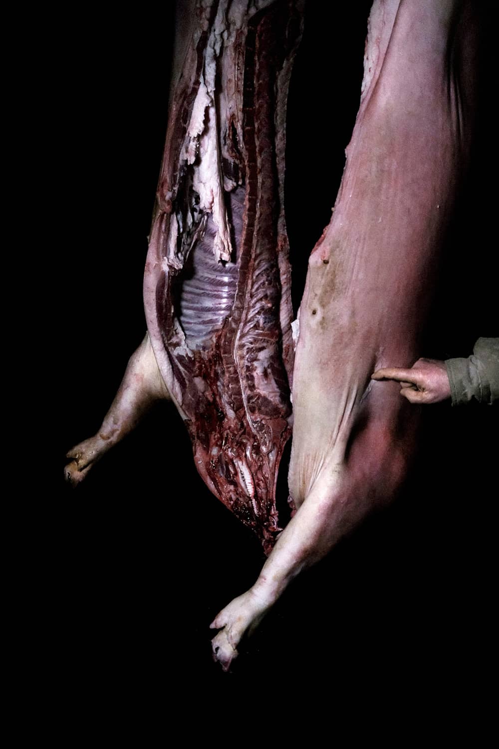 43_Pierre Liebaert_Je Crois aux Nuits_La Division_2018_150x100_75x50_37.5x25cm