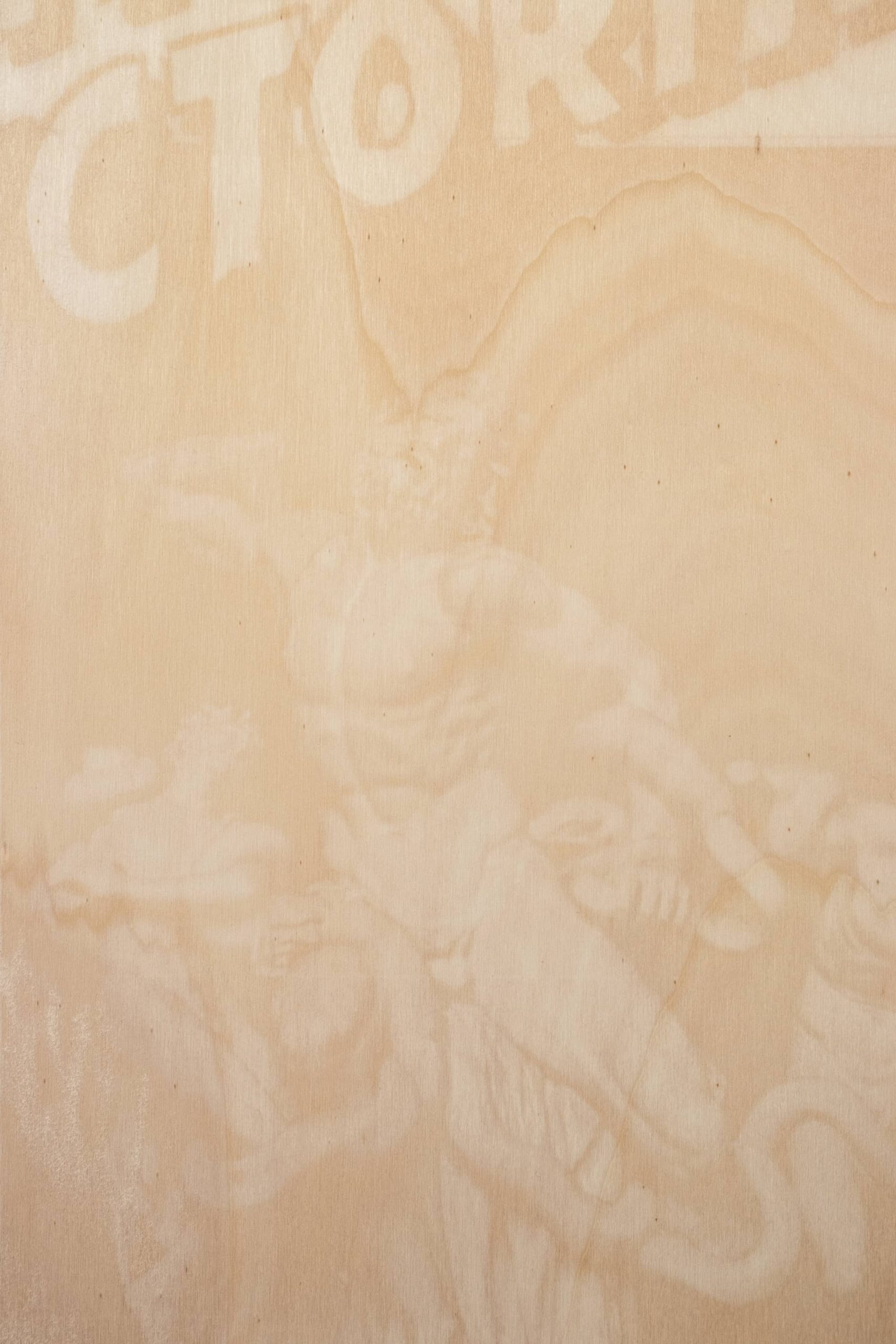 47_Takahiro Kudo_Untitled (Somewhere in This Universe)_Dear Past series_2025_sun-bleached wooden plate, anti-UV varnish_102x77cm_2