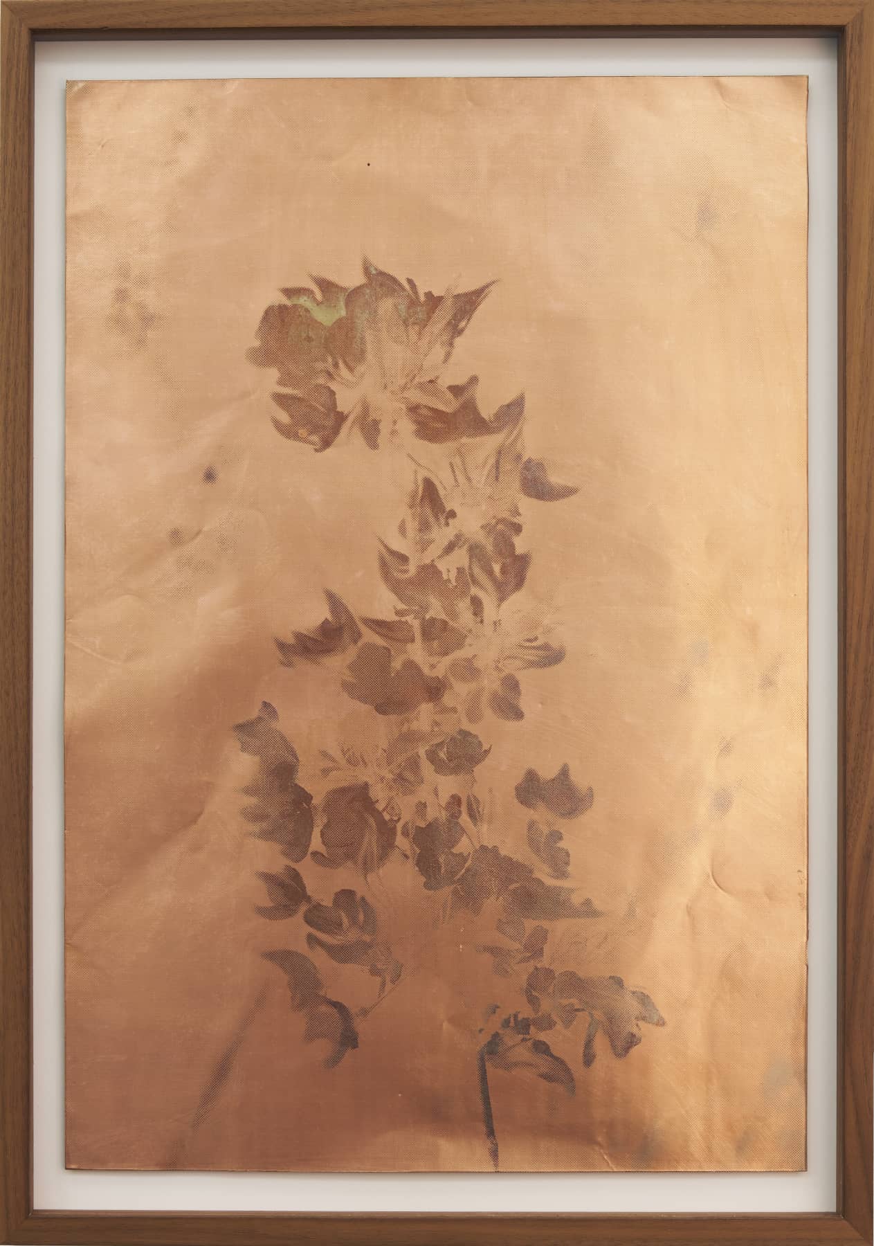 14_Roman Moriceau_Silver (Flowers 1)_2021_silver salts recovered from used bins of siver photography on copper_60x42cm_Mina Albespy