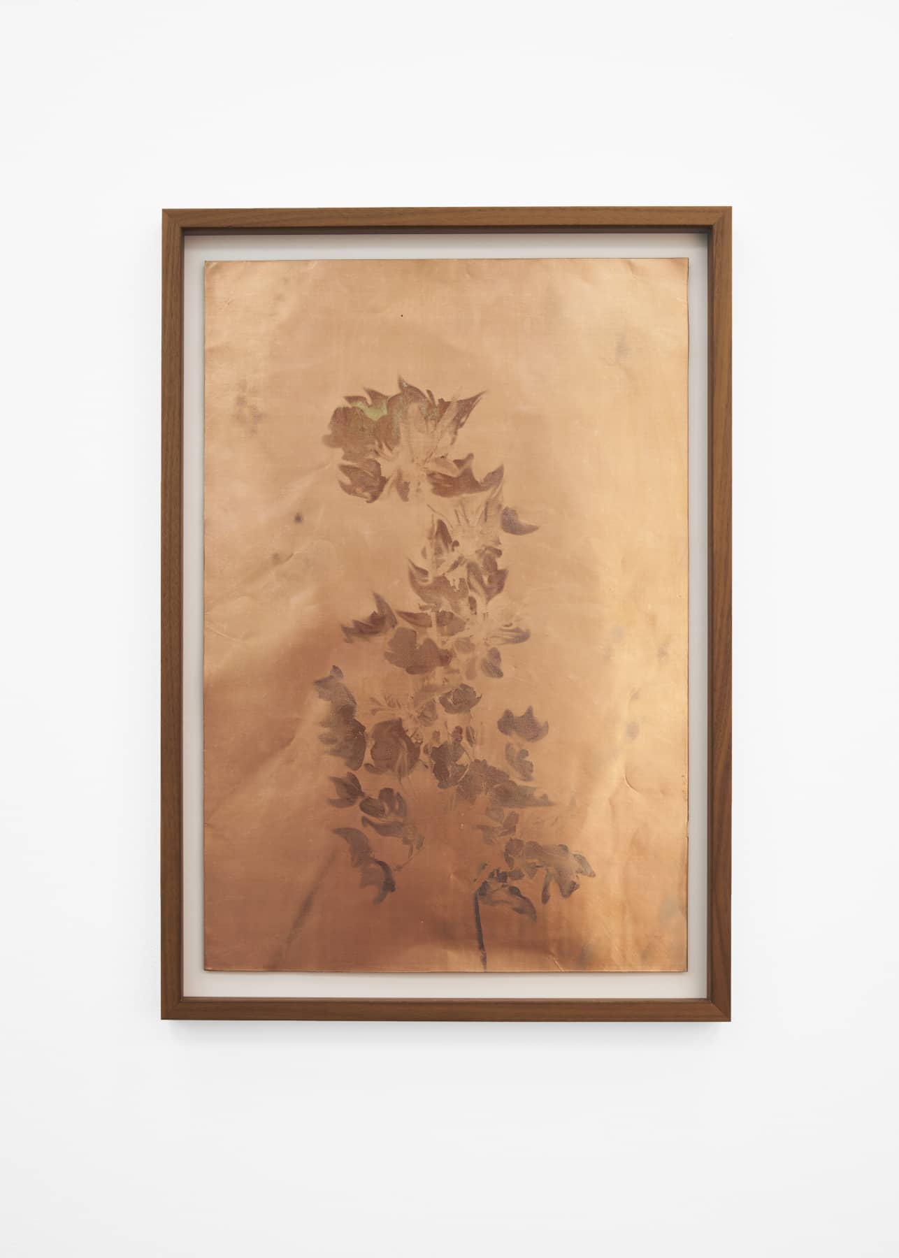 14_Roman Moriceau_Silver (Flowers 1)_2021_silver salts recovered from used bins of siver photography on copper_60x42cm_Mina Albespy_1