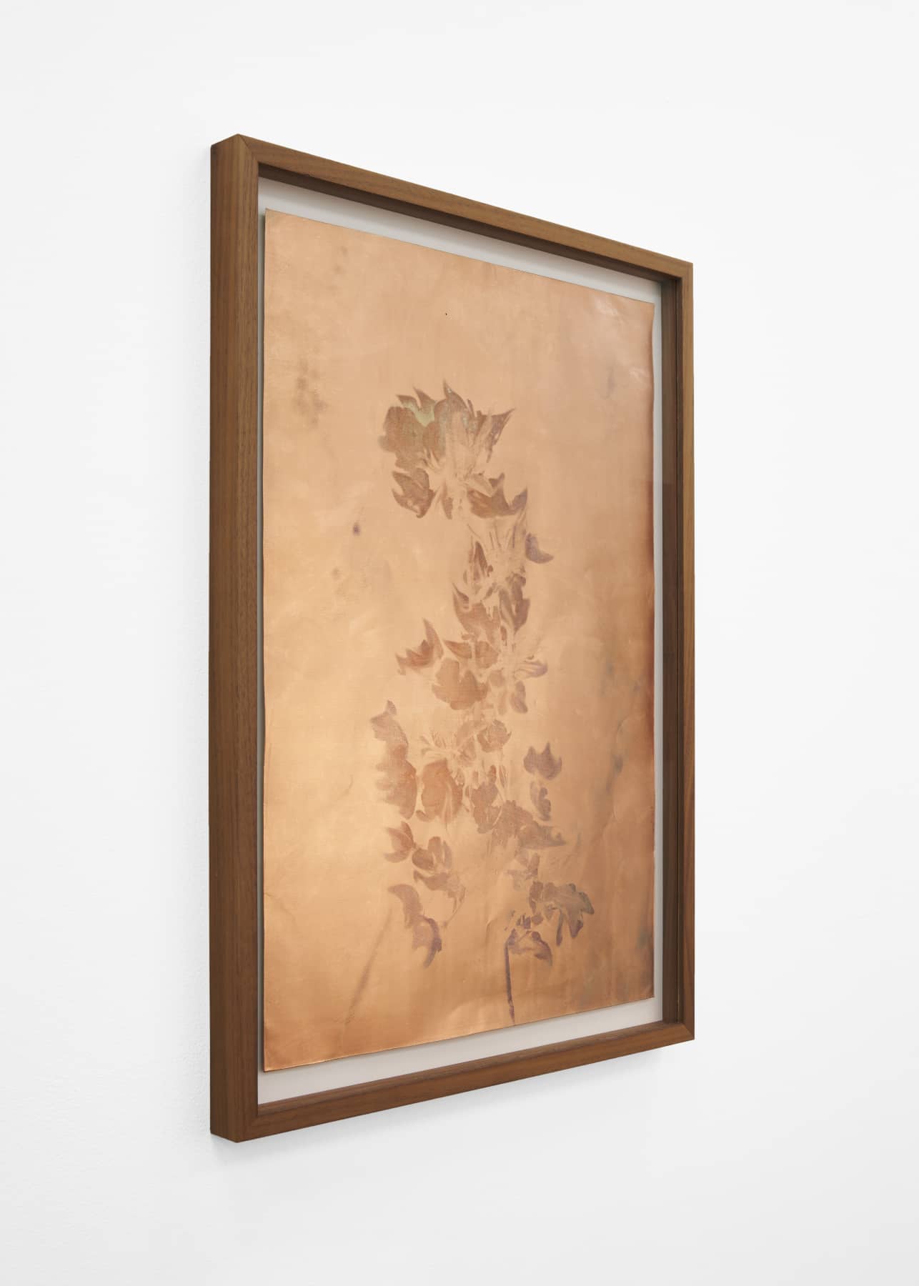 14_Roman Moriceau_Silver (Flowers 1)_2021_silver salts recovered from used bins of siver photography on copper_60x42cm_Mina Albespy_2