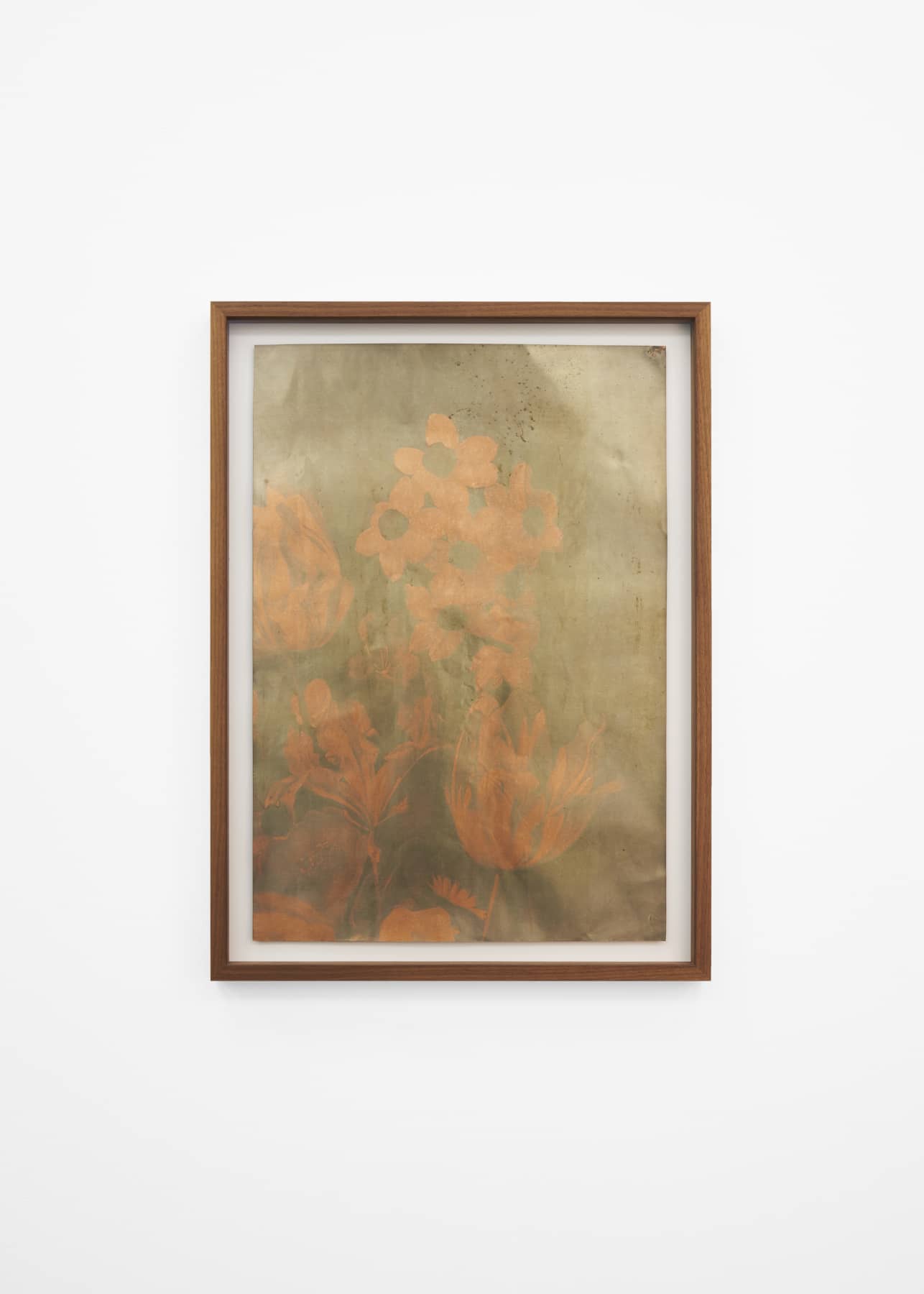 14_Roman Moriceau_Silver (Tulips)_2021_silver salts recovered from used bins of siver photography on copper_61x45cm_Mina Albespy_1