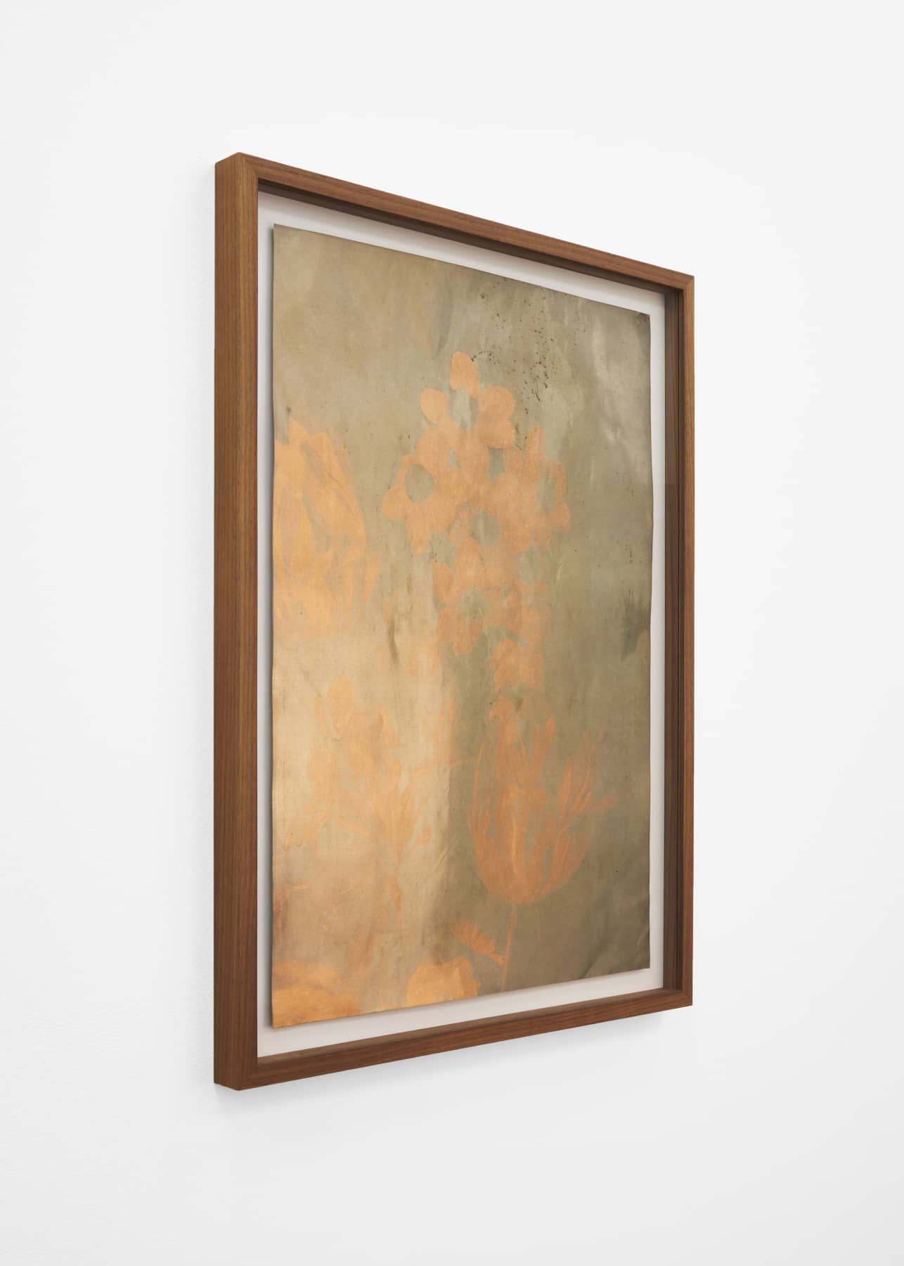 14_Roman Moriceau_Silver (Tulips)_2021_silver salts recovered from used bins of siver photography on copper_61x45cm_Mina Albespy_2