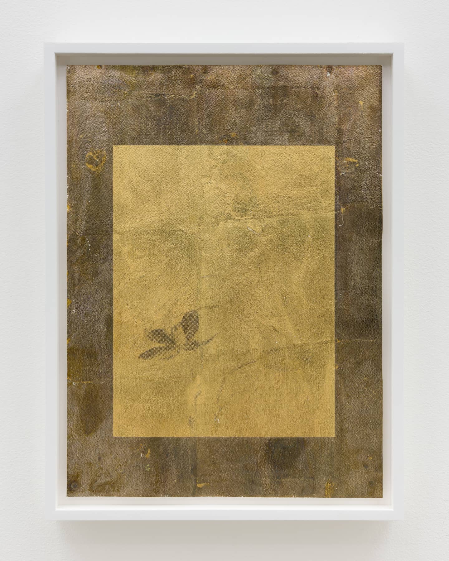 25_Roman Moriceau_Prasophyllum Morganii_2022_gilded copper, recycled silver salts, varnish on paper_35x25cm_unique_Shivadas de Schrijver_1