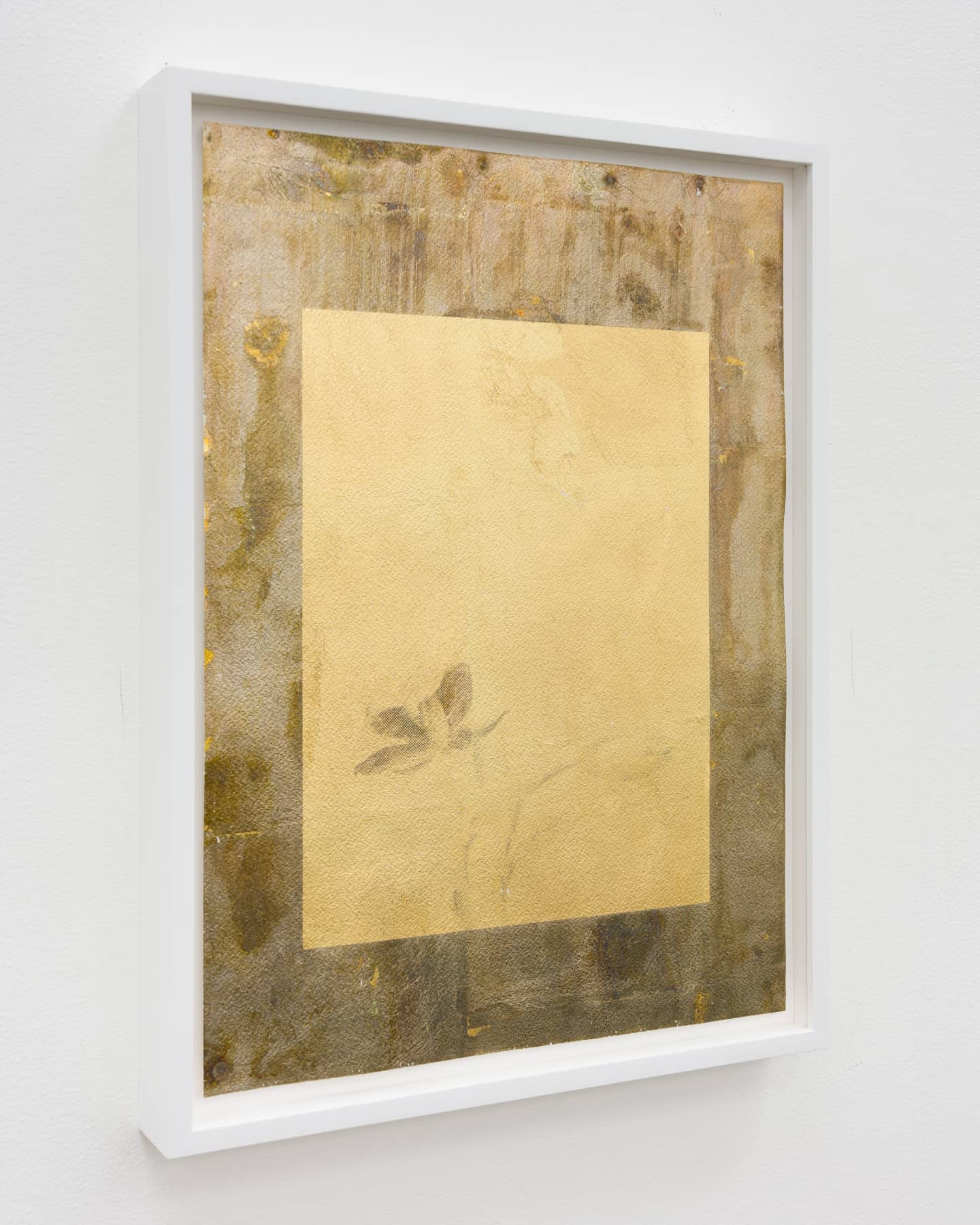 25_Roman Moriceau_Prasophyllum Morganii_2022_gilded copper, recycled silver salts, varnish on paper_35x25cm_unique_Shivadas de Schrijver_2