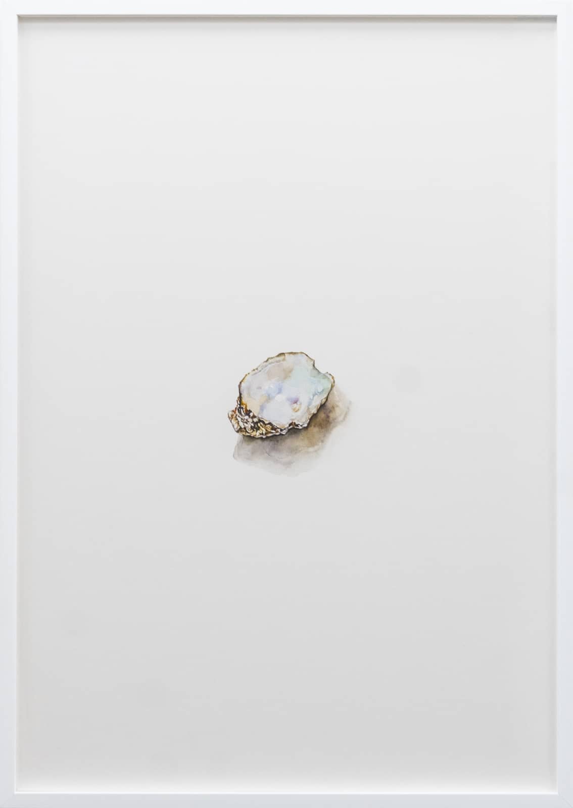 2_Emmanuelle Leblanc_Huitre 2_2026_watercolor on paper_103x73cm_1