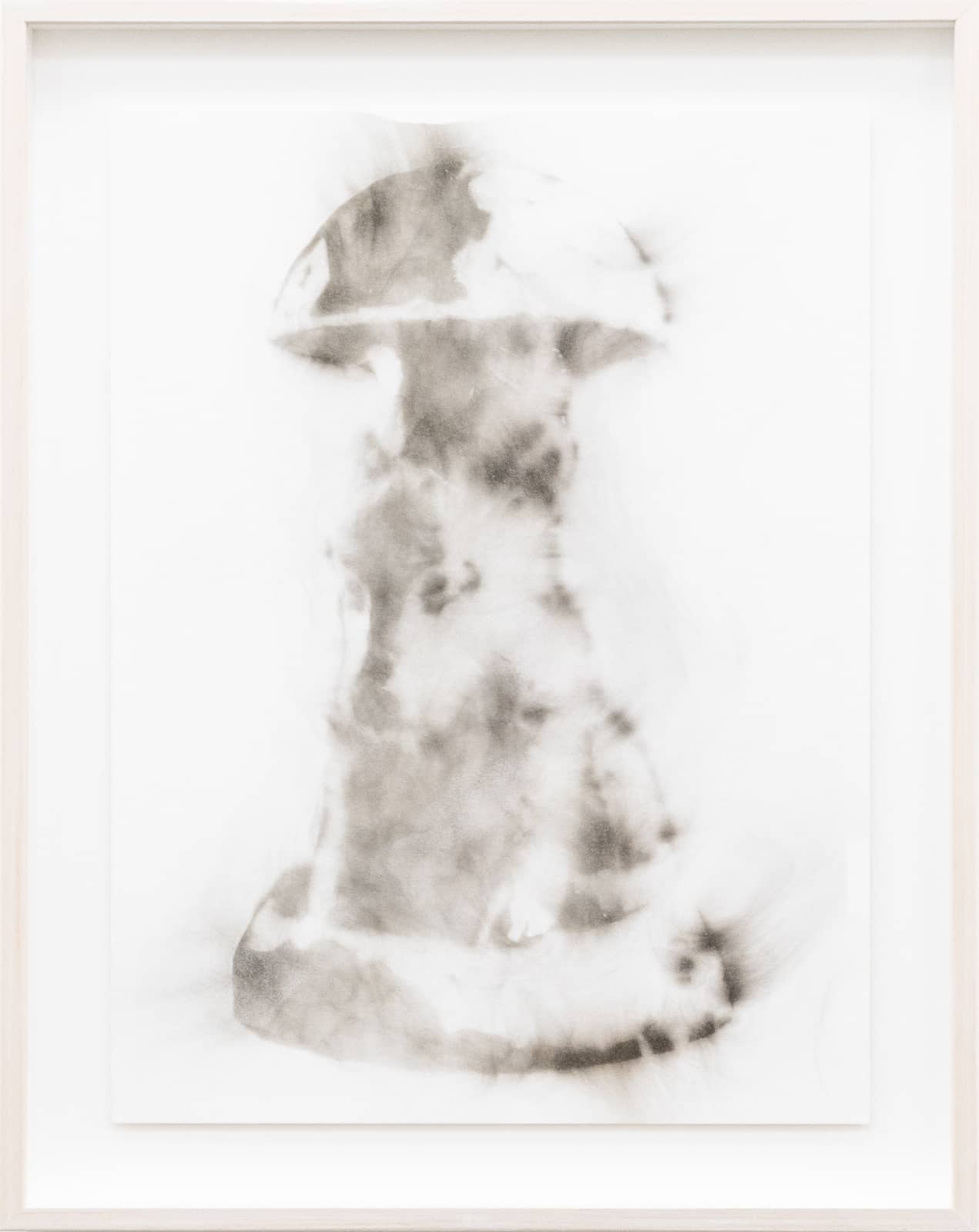 2_Roman Moriceau_Metanoia (Nahualli Coati)_2026_smoke on paper_48.5x38.5cm_1
